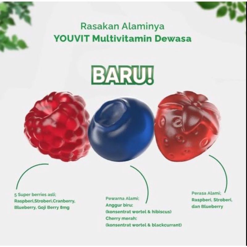 YOUVIT Dewasa Multivitamin isi 30 Gummy Mix Berry