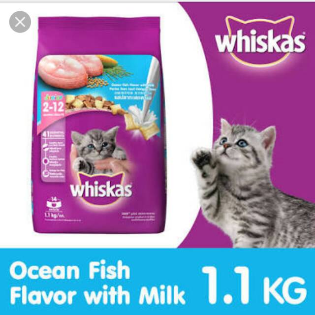 Whiskas junior 1.1 kg freshpack