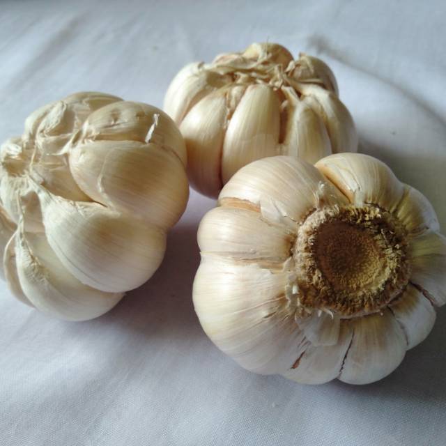 Bawang Putih Di Malang Harga Kg Shopee Indonesia