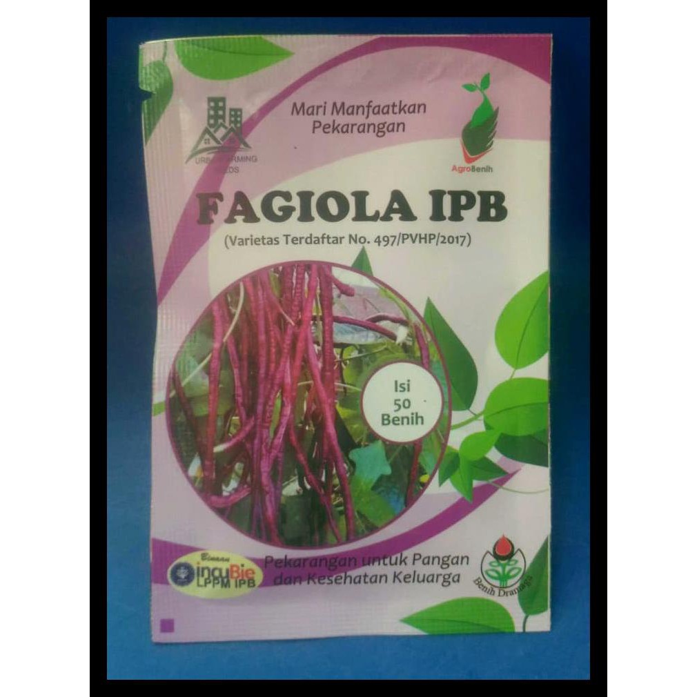 Benih Kacang Panjang Ungu Fagiola Ipb
