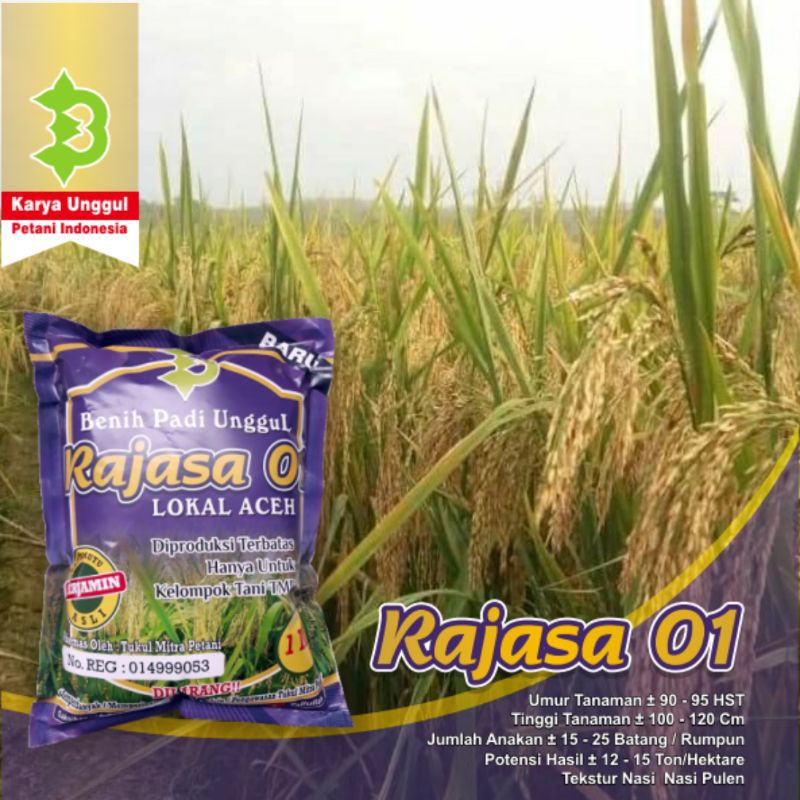 Benih Padi Rajasa 01-1