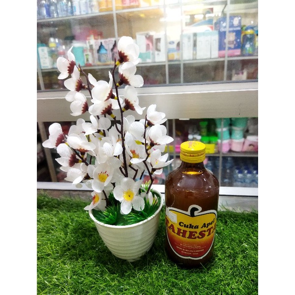 

CUKA APEL TAHESTA