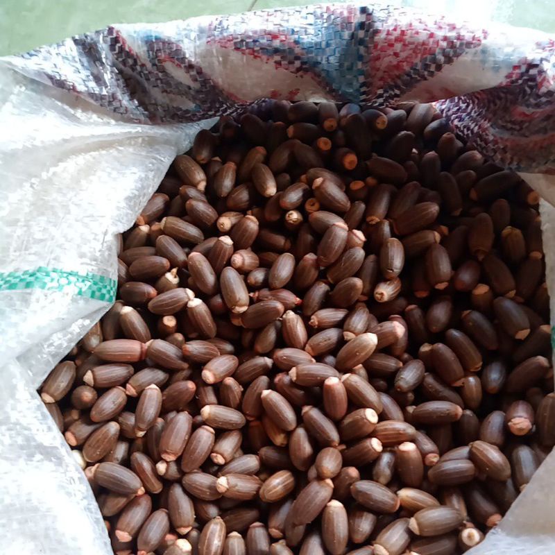 

biji tangkil kupas super 1kg