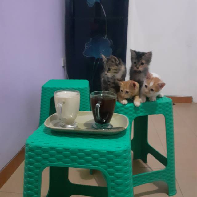ainulhakim1235