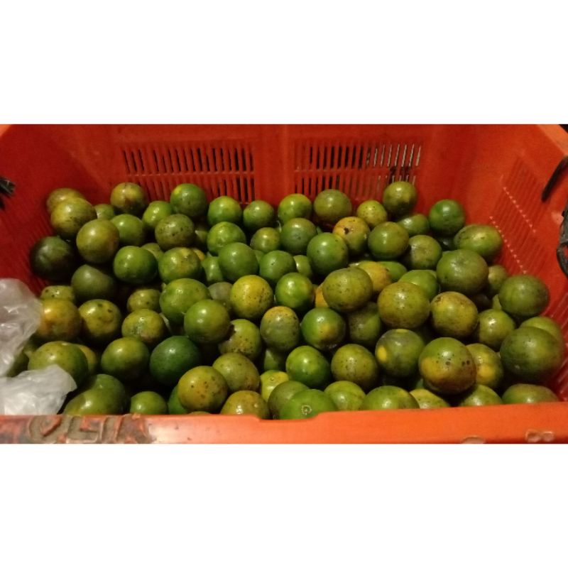 

Jerukmanis Deal-A Shop