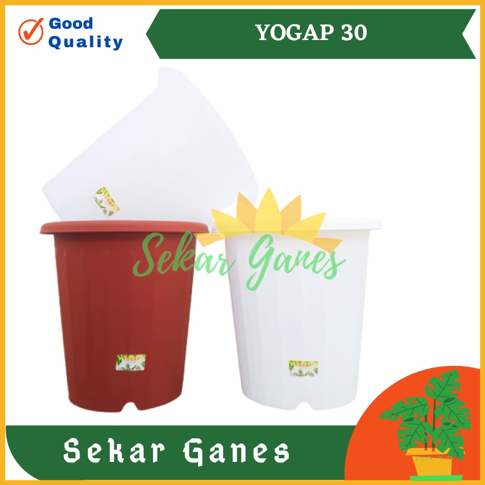 Pot Yogap 30 Putih Transparan Bening Merah Bata Pot Yogap Yoga Murah / Pot Tawon Pirus 27 30 35