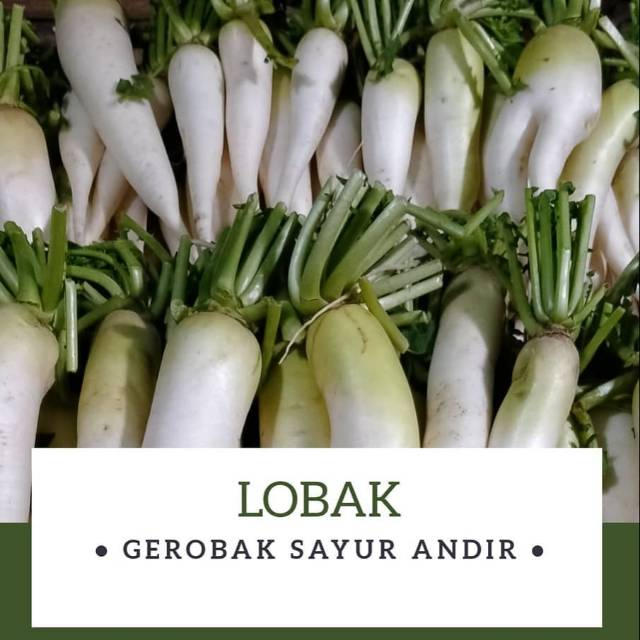 

Lobak Putih /500gr