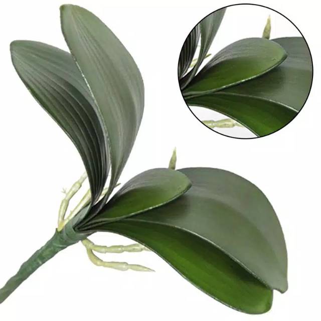 DAUN ANGGREK LATEX ARTIFICIAL HIASAN RUANGAN HOMEDECORATION SHABBYCHIC - FOTOGRAFI - seserahan