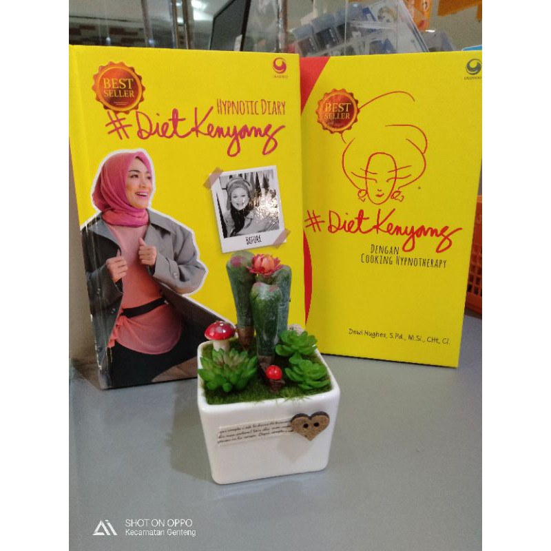 buku diet kenyang Dewi Hughes