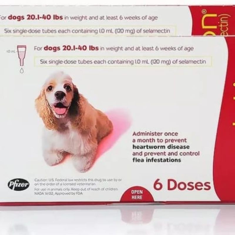 Revolution Red For Dogs 20,1-40lbs / Obat Tetes Kutu Anjing / Obat Kutu Anjing Revolution Red