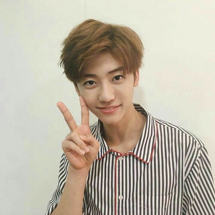 Bedcover Motif Kotak Emily Collection Katun Lokal Elbhe Uk Single| Uk 90x200 |uk 100x200 |uk 120x20