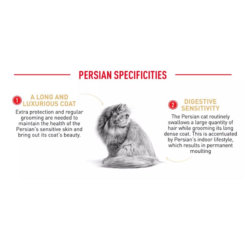 Royal canin persian wetfood 85gr. Makanan basah kucing persia