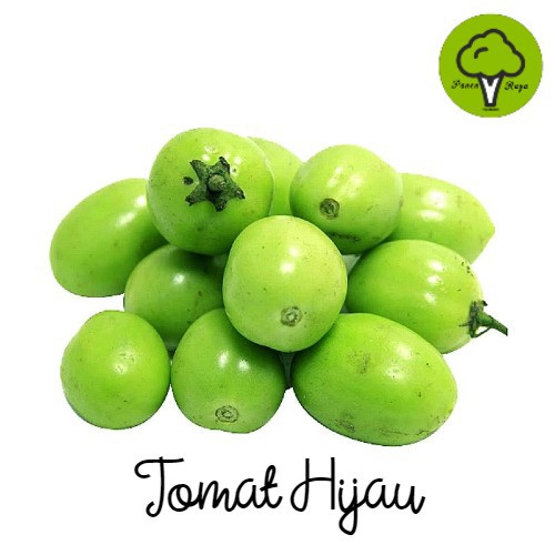 

BUAH / TOMAT HIJAU [1KG]