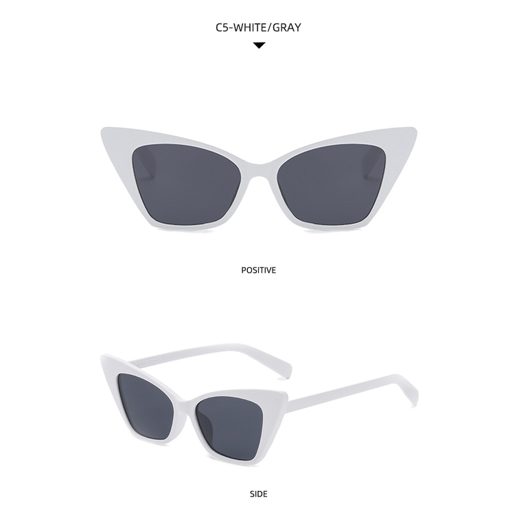 2021 new European and American cat's eye fashion INS simple sunglasses