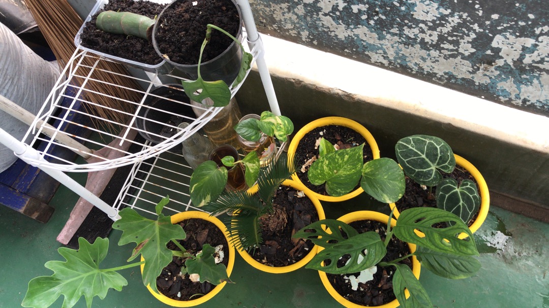 Atasan Kemeja Batik Pria Lengan Panjang Premium Permana 7 Long Full Furing Kharis Batik Solo Ori