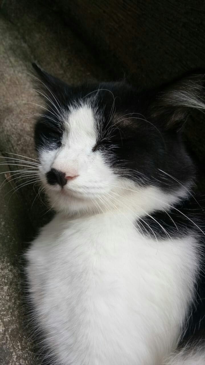 Batik Couple Keluarga Sania Ruffle Ori Ndoro Jowi Dnt Motif Naga Garansi Termurah