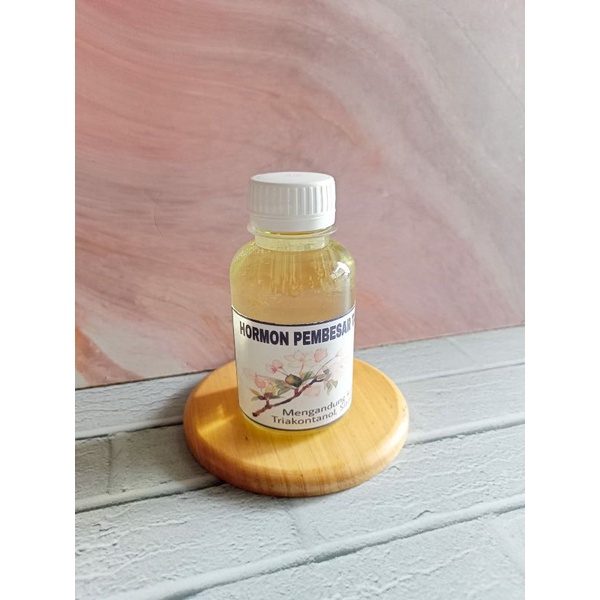 vitamin tanaman hormon pembesar tanaman