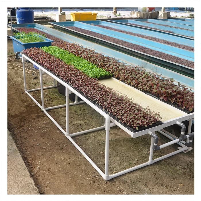 Jirifarm 12513 Hidroponik / Talang Microgreen Gully Semai
