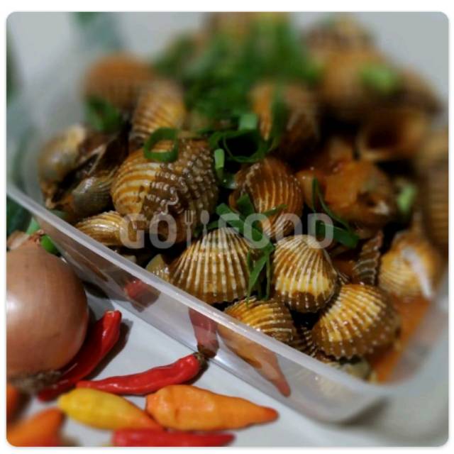 

Kerang dara