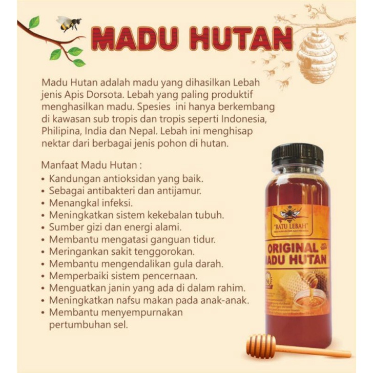 

madu hutan murni alami 250 ml