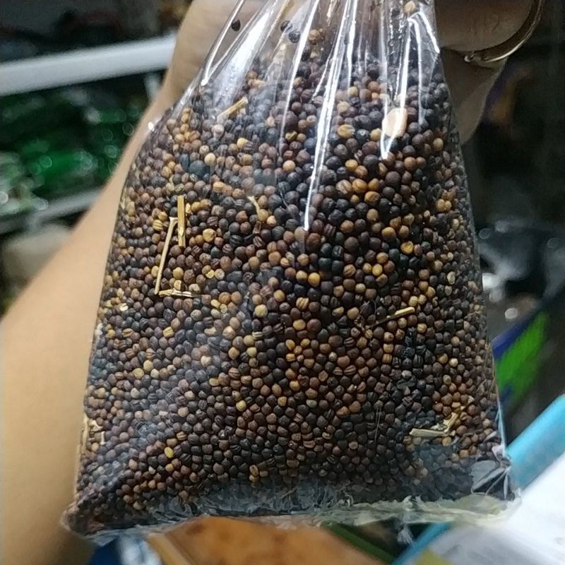 BIJI SAWI