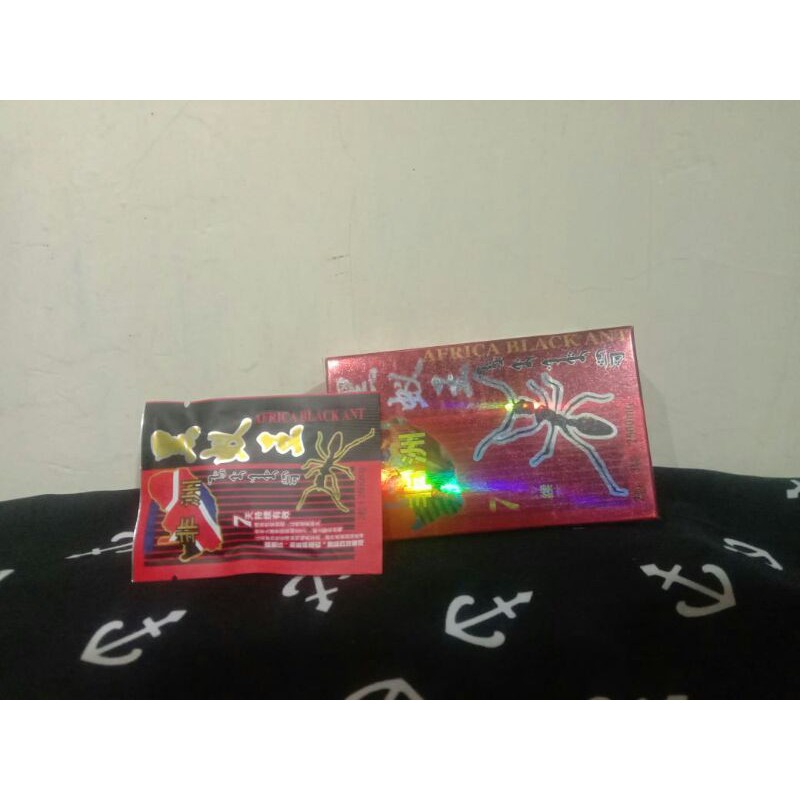 SEMUT_HITAM_AFRICA_9