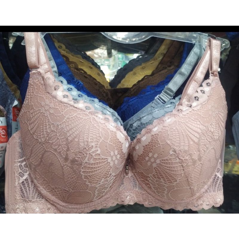 Bra Elena Full Cup 24448/BIG SIZE Cup D size 40 dan size 42 cup D