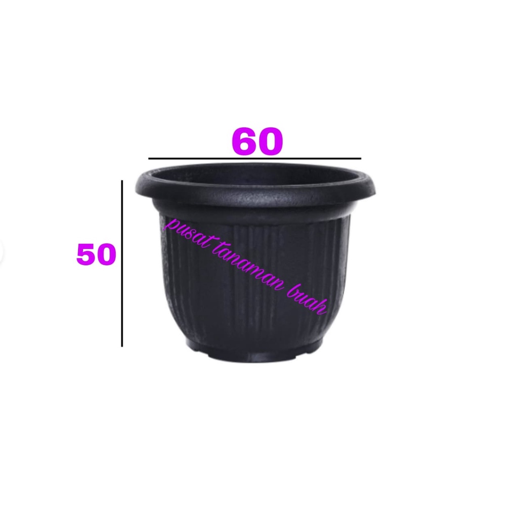 POT TANAMAN BESAR UK.60CM / POT PLASTIK HITAM / POT HITAM 60CM / POT BESAR