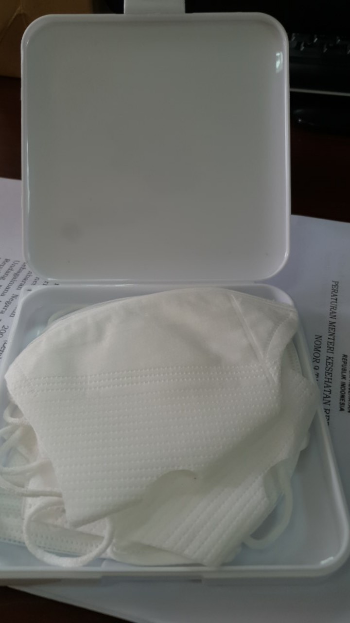 Portable Dust Mask Storage Box Dustproof Storage Box Mask Case  Masker Portable