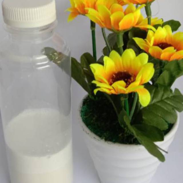 

Royal Jelly 100% ASLI TANPA CAMPURAN MADU