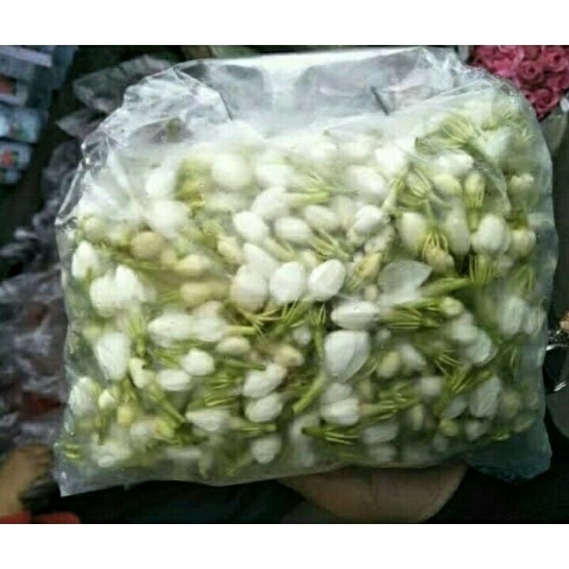 kembang melati 250 gram flower  jasmine original fresh