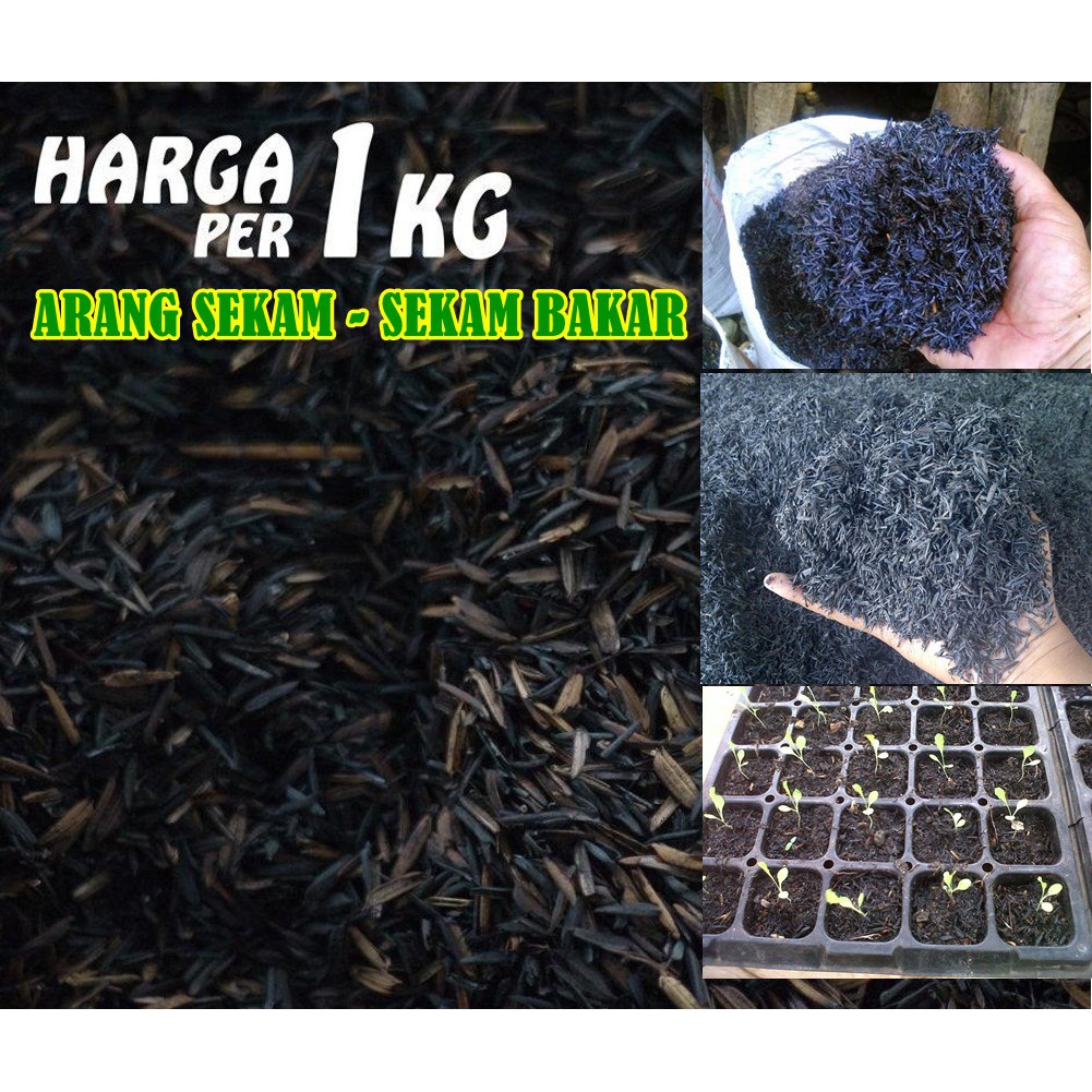 Media Tanam Pertanian Hidroponik Arang Sekam - Sekam Bakar 1kg
