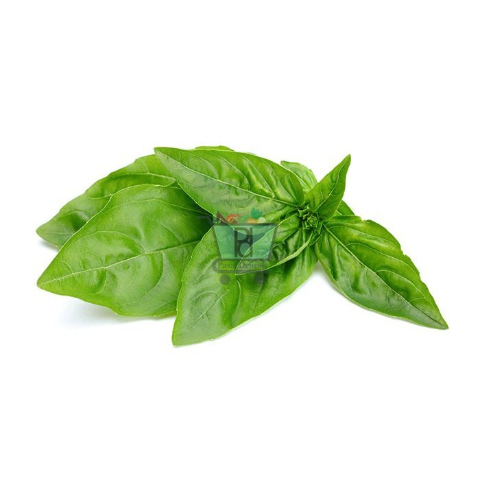 

Daun Kemangi Per Ikat