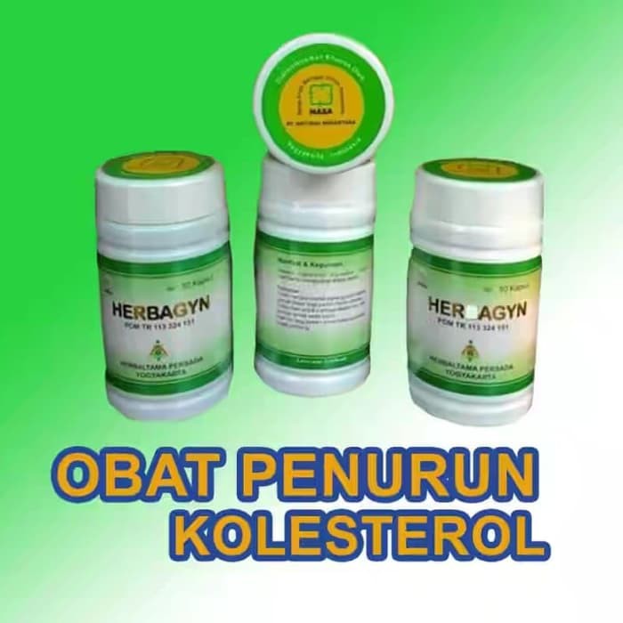 HERBAGYN Obat Herbal Penurun Kolesterol Original NASA BPOM / Obat Herbal Batu Ginjal / Imunitas