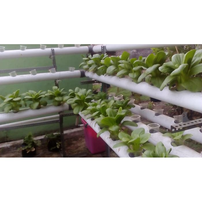 Pupuk Hidroponik AB Mix Sayuran Daun dwh1797