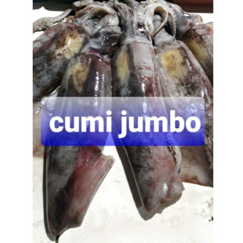 

jumi jumbo fresh 1kg