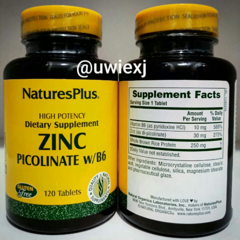 Jual Natures plus zinc picolinate w/B6 isi 120 tablets Shopee Indonesia