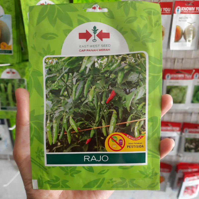 Benih Bibit Cabe Rawit Hijau Bangkok RAJO Isi 350bj