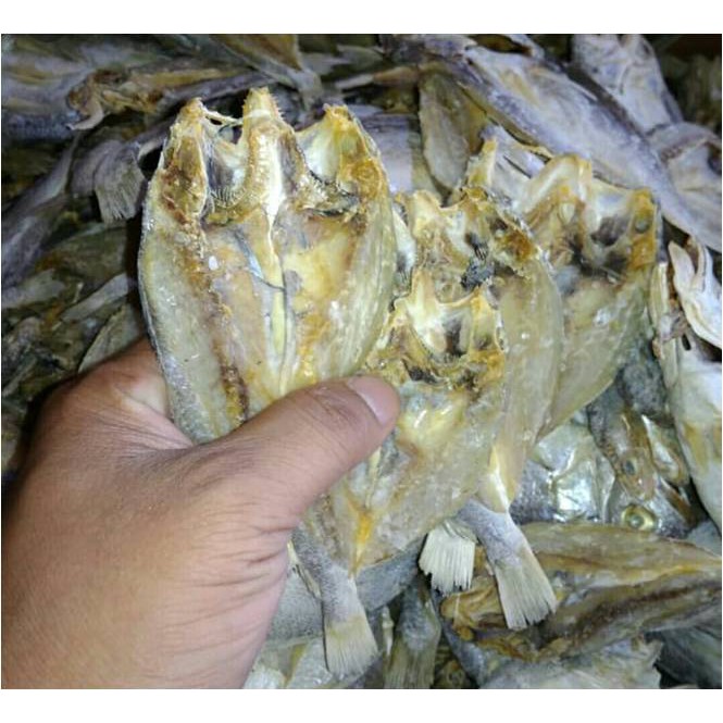 

Ikan Asin Gulama Belah ( @ 500 Gram )