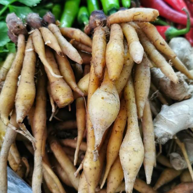 

TEMU KUNCI SEGAR 500 GRAM MASIH ADA TANAHNYA