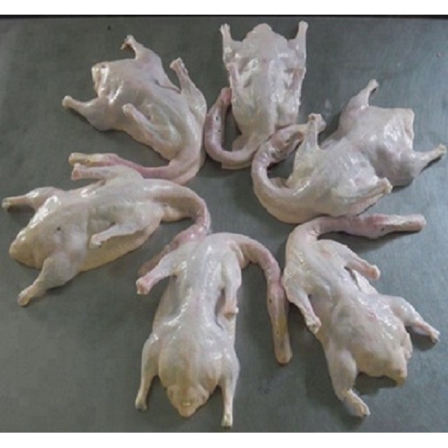 Bebek Peking Karkas Frozen Utuh ukuran 1,1kg - 1,2kg