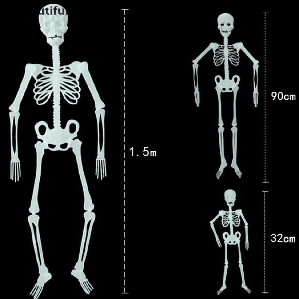 (Beautifulhome2.Id) Tengkorak Manusia Ukuran 32 / 90 / 150cm Untuk Dekorasi Pesta Halloween