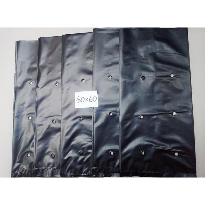 Ini Polybag 60X60