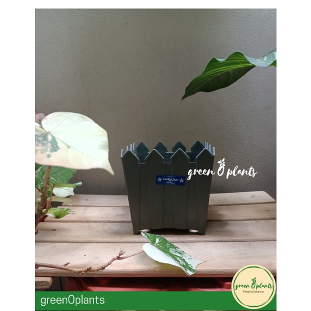 Pot Bunga Tanaman Plastik Lucky Star Pagar 5742 Abu