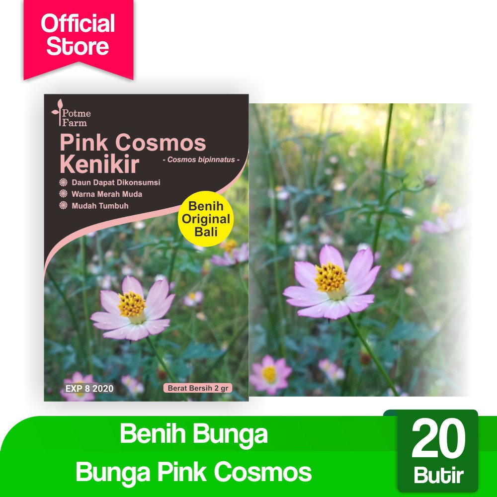 

Benih Bunga Kenikir Pink Cosmos (Potme Farm)