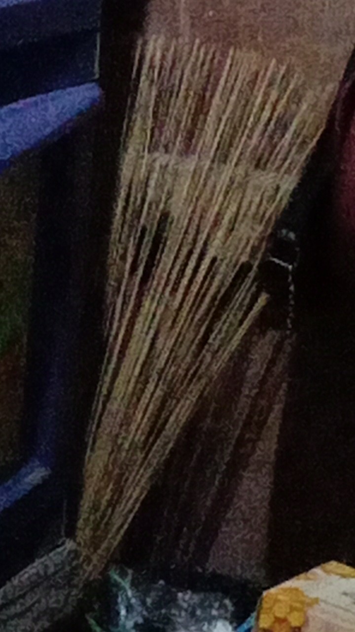 Sapu Lidi Kebut Tempat Tidur Kasur Bersih-bersih Murah Bagus - Sapu Lidi Kebut Diana