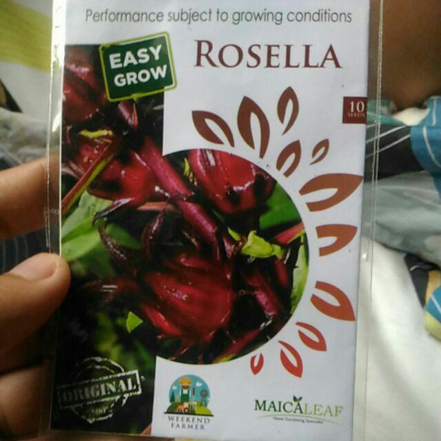 Benih Rosella Isi 20 Maica Leaf