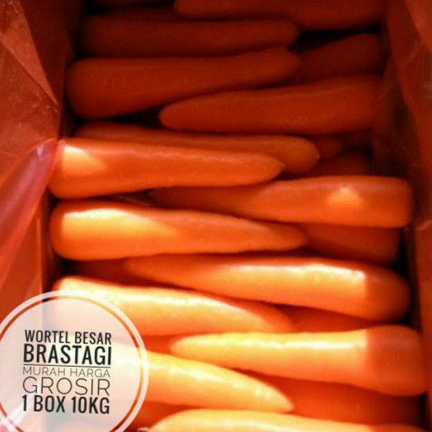 

wortel besar brastagi kualitas export 1 dus 10kg