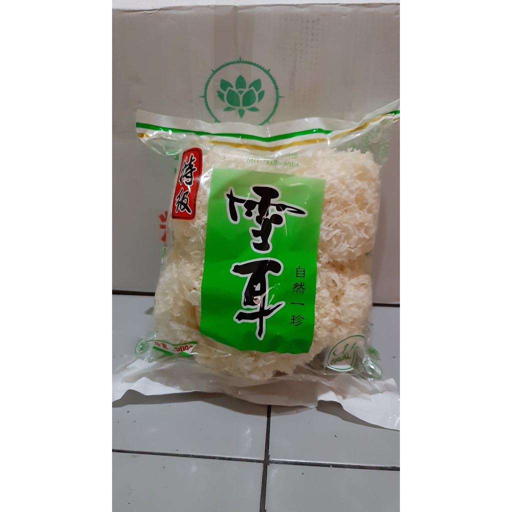 

Jamur Salju import (jamur putih / white fungus) pekbokni