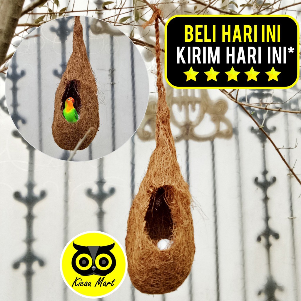 GLODOK BURUNG SARANG BURUNG LOVEBIRD GELODOK BURUNG MURAI PARKIT MANYAR KENARI SARANG TELUR SUSUH MANUK COCOFIBER GANTUNG SERAT KELAPA SRBGTG